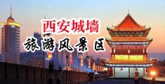 靠逼视屏中国陕西-西安城墙旅游风景区