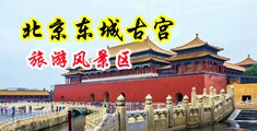 淫语系列合集69xx中国北京-东城古宫旅游风景区